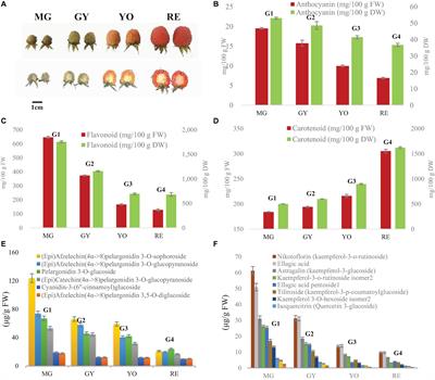 Transcriptomic, Proteomic and Metabolomic Analysis of Flavonoid Biosynthesis During Fruit Maturation in Rubus chingii Hu